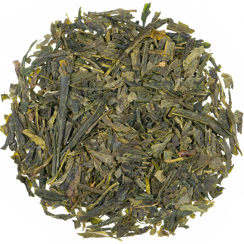 Sencha